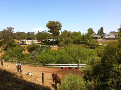 view of Alderin Sporthorses at Palos Verdes Stables