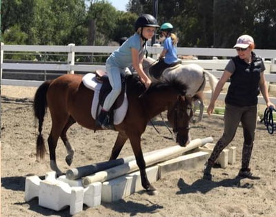 pony camper learning to jump