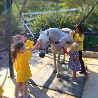 Pony Camp